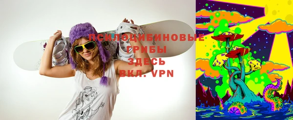 метадон Вяземский