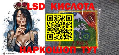 СК Донецк