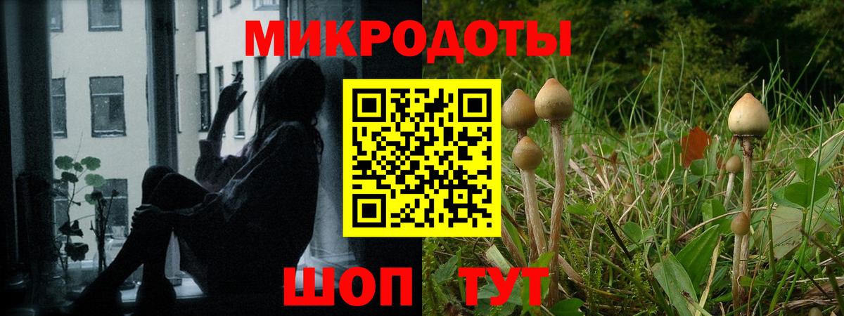 Галлюциногенные грибы Psilocybine cubensis Уссурийск